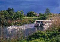 Imagine atasata: IMG_5527x2stpt.jpg